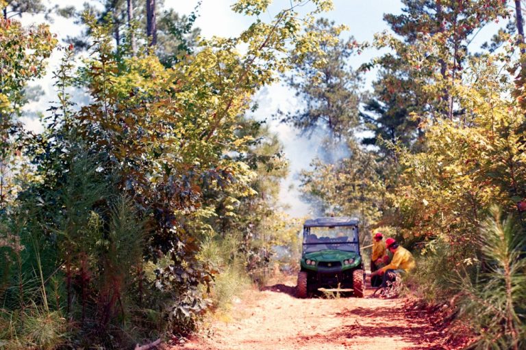 Explore the Best Trail Equipment for Family Adventures